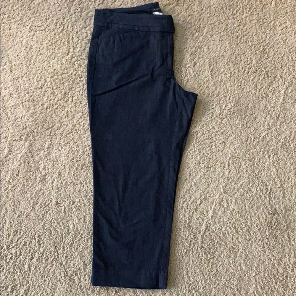Ann Taylor Dressy Cropped Denim Pants. Sz 6